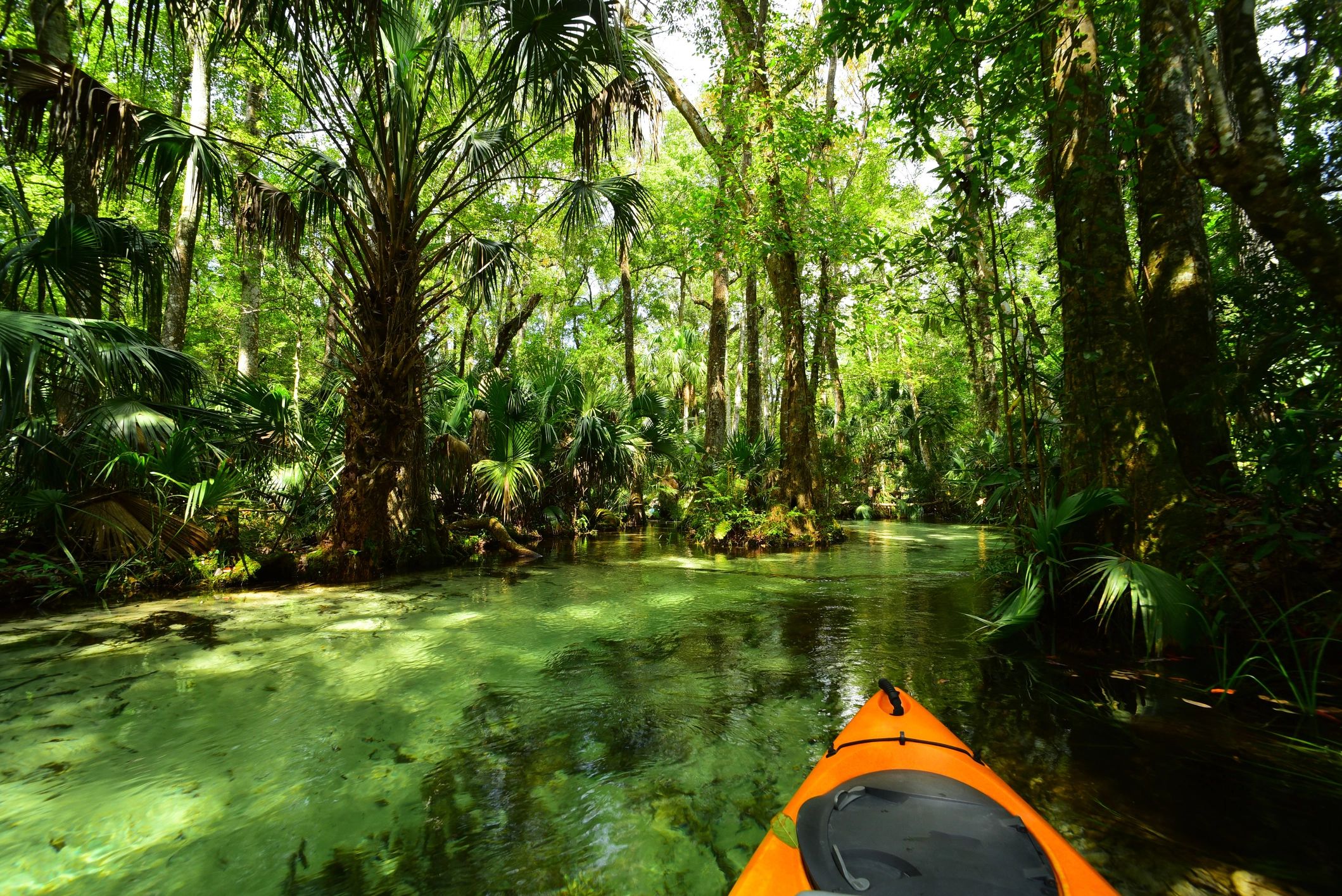 Kayak view on a clear Florida creek