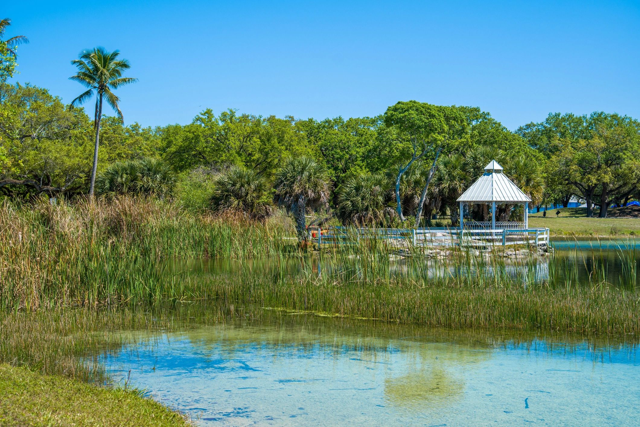 Open green outdoor area in Florida park