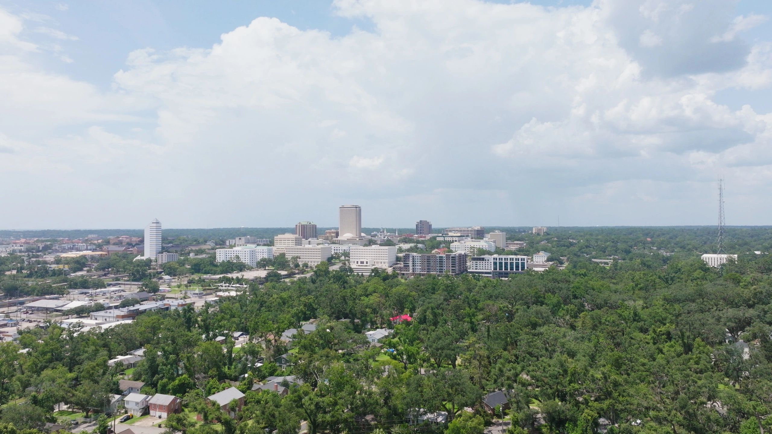 Distant Tallahassee skyline over tree canopy and neighborhood